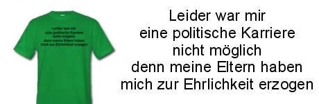 politische Karriere